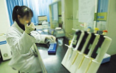 DNA親子鑒定頭發樣品