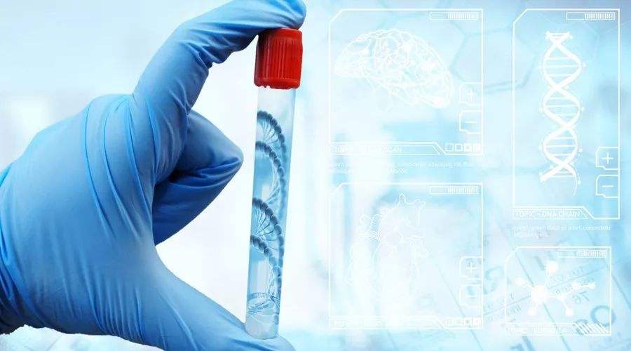 深圳做親子鑒定需要什么樣本?