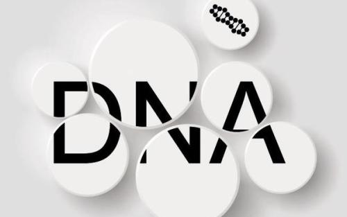 深圳做親子鑒定要多少錢