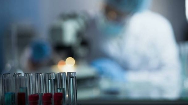 親子鑒定是婚姻殺手?有孩子后她主動要求去做親子鑒定為婚姻排雷