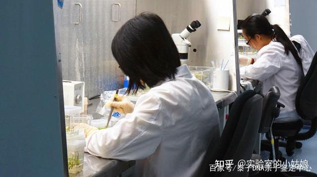 親子鑒定相關圖片2