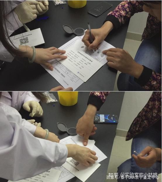 親子鑒定相關圖片1