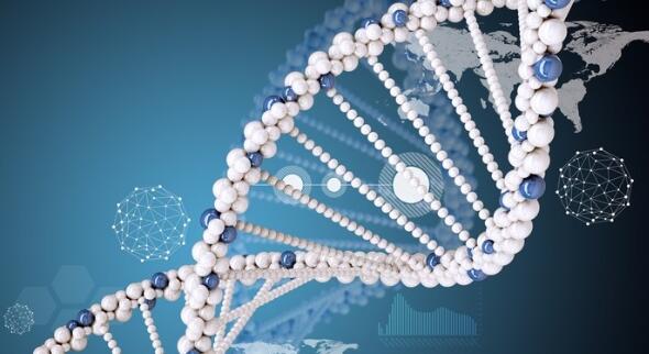 DNA鑒定親子可不可靠 DNA鑒定親子可不可靠