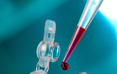 了解跟孩子的親子關(guān)系 了解跟孩子的親子關(guān)系