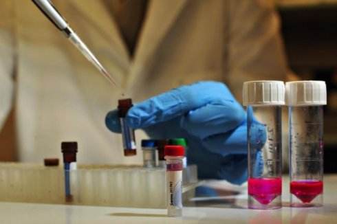 親子鑒定可以到哪里做 親子鑒定可以到哪里做