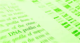 DNA檢測(cè)親生關(guān)系 DNA檢測(cè)親生關(guān)系