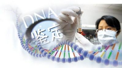 DNA親子鑒定機構 DNA親子鑒定機構