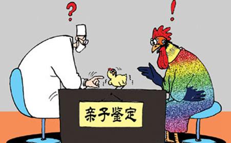 個人親子鑒定網上可以查詢嗎?