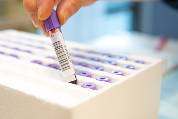 了解親子關系需多少錢 了解親子關系需多少錢